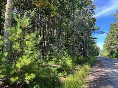 Lot 64 Haring Road, Glen Spey, NY, 12737