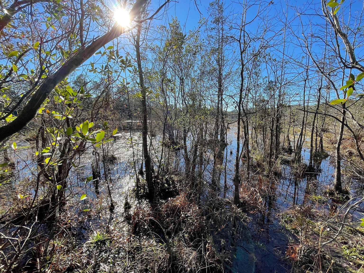 PARCEL W Leisure Ln A, Holt, FL 32564 Zillow