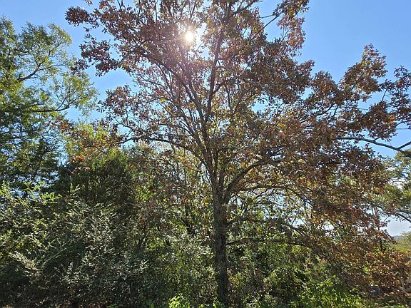 3rd image of 0 Damian Ct Lot 5