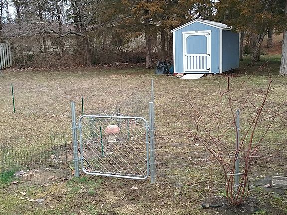SHED IN A CEDAR GROVE
