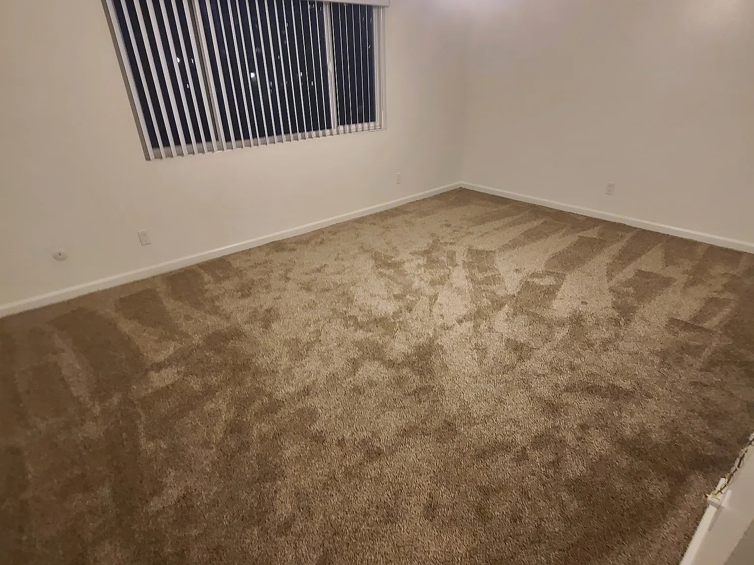 1 bed, 540 sqft, $2,000 — Photo 2