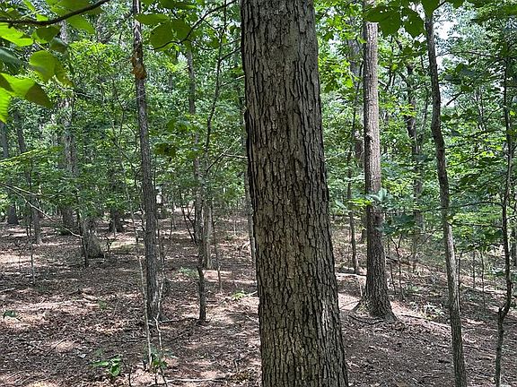5th image of 0 Forest Dr