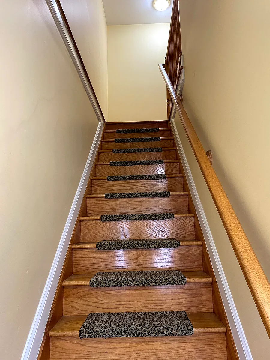 Stairs to First Floor - 219 Congress St #1