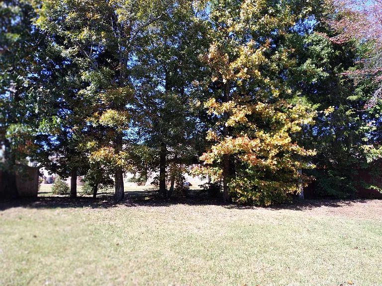 195 Sagebrook Dr — Photo 22