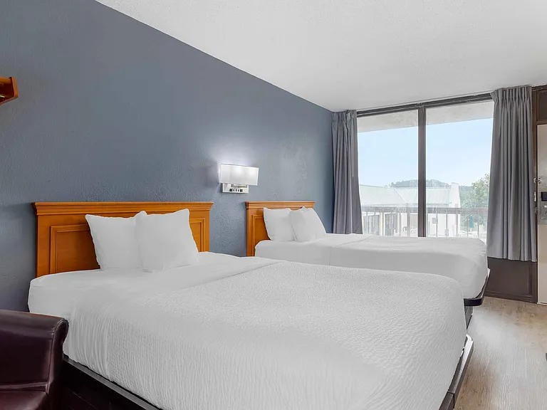 Studio Suite - 2 Full Beds