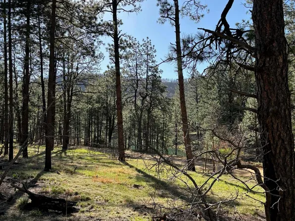 35 Forest Dr W, Rociada, NM 87742