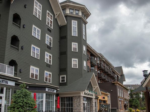 110 Highland House, Snowshoe, WV 26209