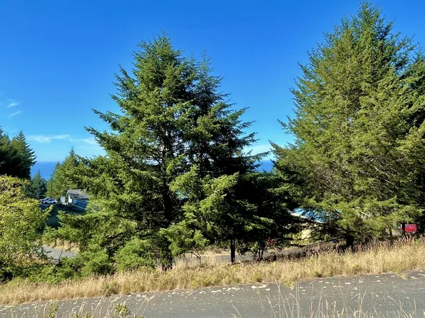 45 Vista Rd, Whitethorn, CA 95589