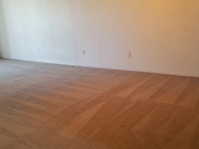 355C N Lake Havasu Ave — Photo 10
