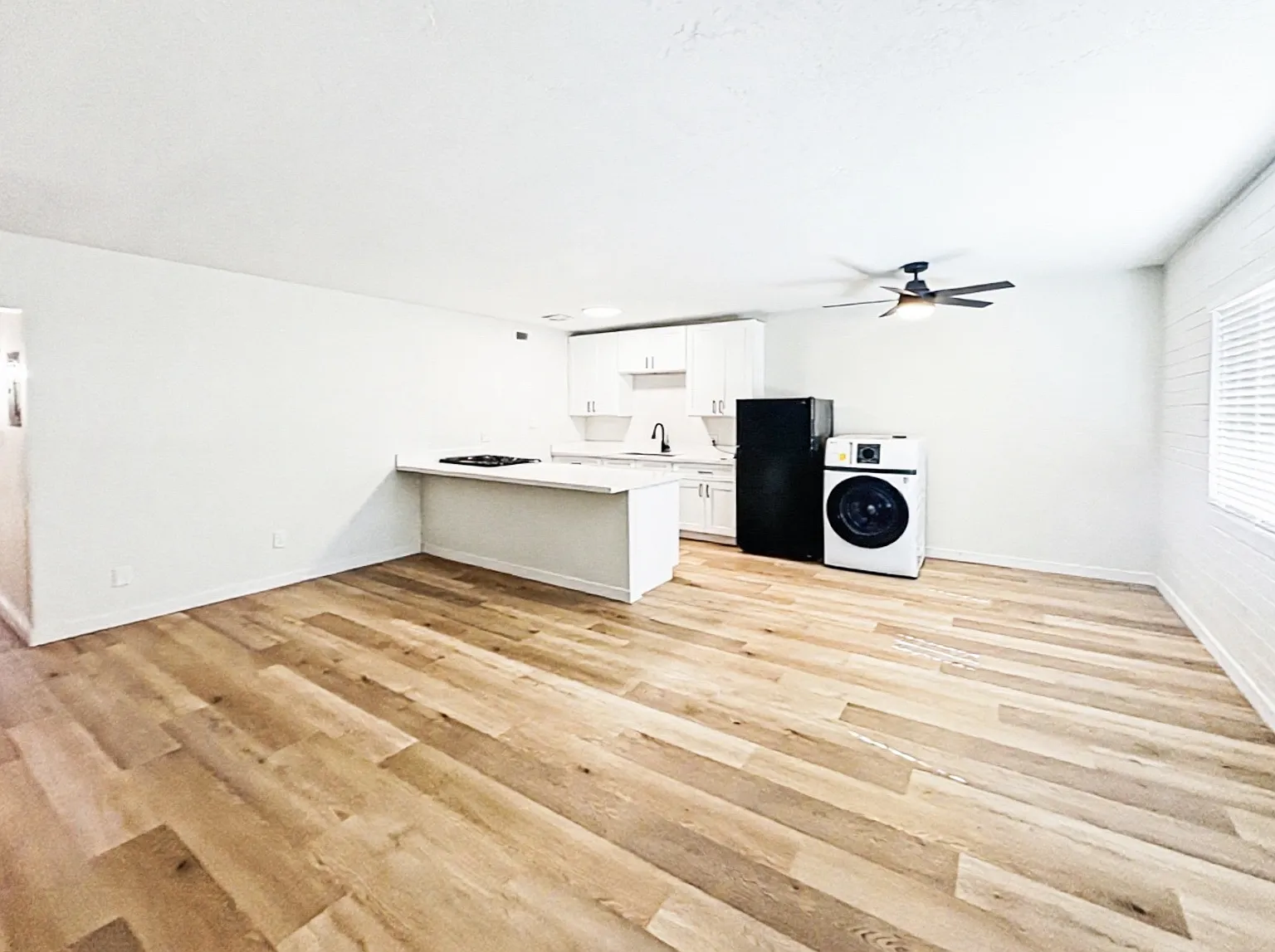 1 bed, 700 sqft, $1,100 — Photo 4