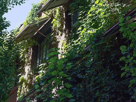 Barbara Worth exterior