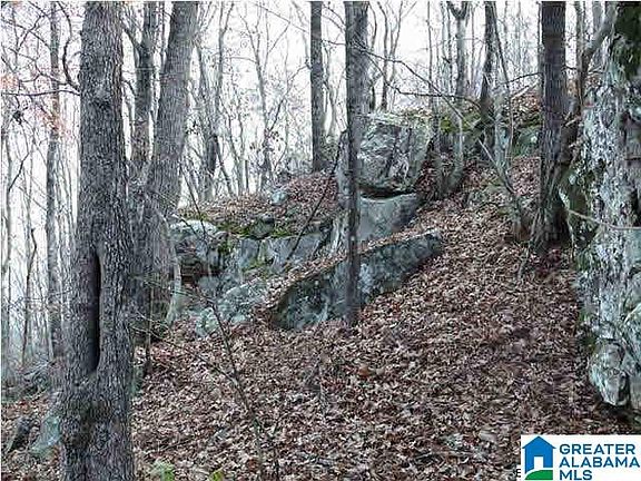 5th image of 5620 S Shades Crest Rd #1