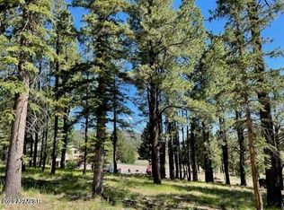 2 N 1102nd #12, Greer, AZ 85927