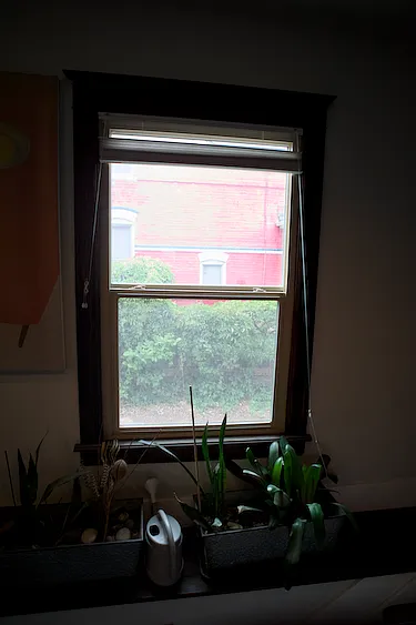 side window