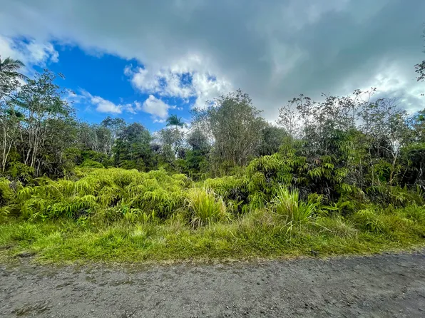 Road 4 Kea #Io, Kurtistown, HI 96760