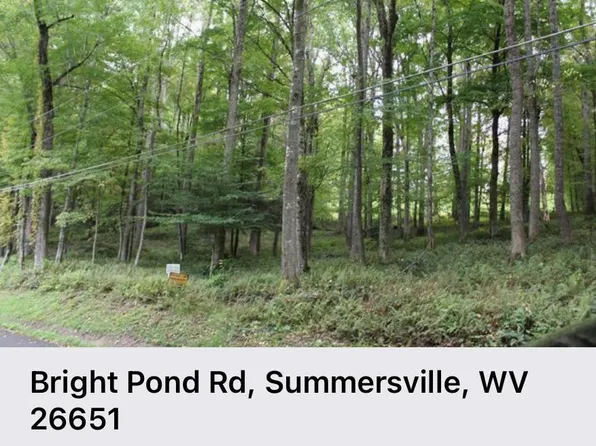 Bright Pond Rd, Summersville, WV 26651