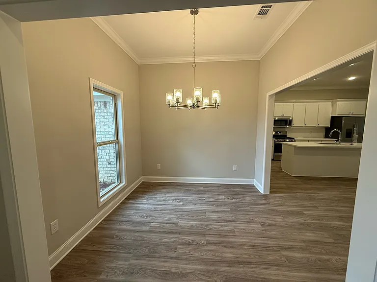 546 Patrick Farms Dr — Photo 9