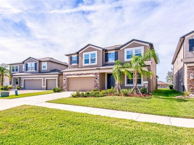 11321 Alachua Creek Ln, Riverview, FL, 33579