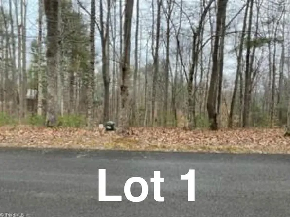 1 Reserve Trl Lot 1, Stuart, VA 24171