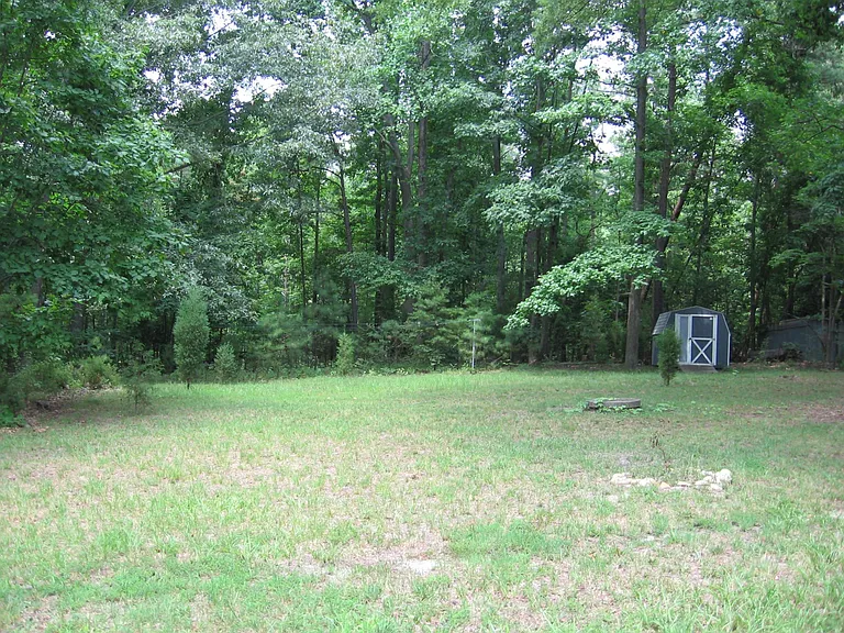 back yard - partial view
