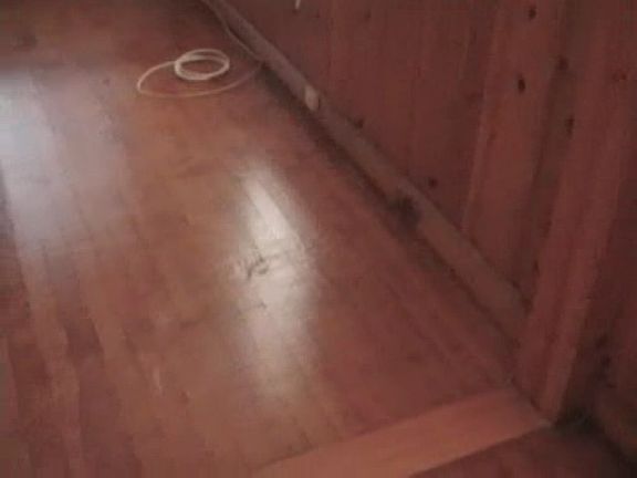 Beautifully refinished hardwood floors