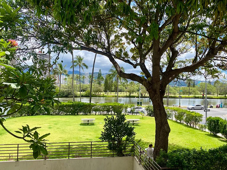 Beautiful private park with a mango tree and Ala Wai canal view