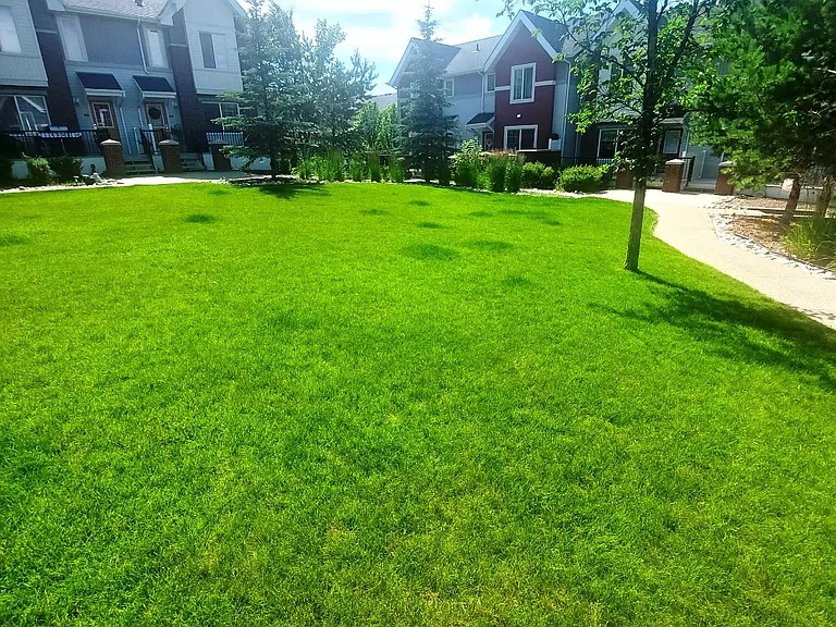2336 Aspen Trl #101 — Photo 19