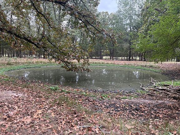 5th image of 1150 County Road 43900