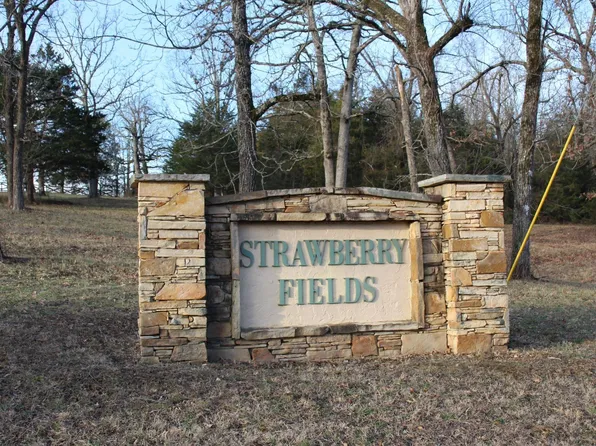 LOT 40 Elly Ln, Flippin, AR 72634