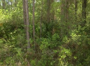 4614 Burdock Ct, Middleburg, FL 32068