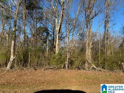 0 County Road 48 #4, Jemison, AL, 35085