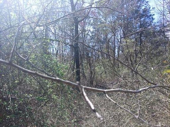 2nd image of 13173 Highway 250