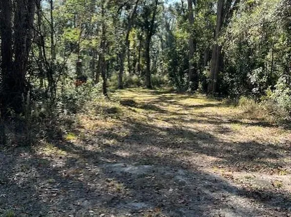 211 NE 385th Ave, Old Town, FL 32680