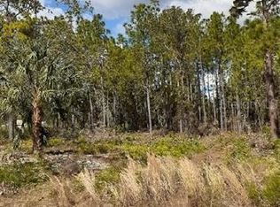 12473 Downy Woodpecker Rd, Brooksville, FL 34614