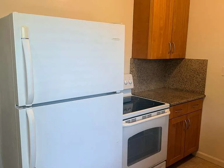 1015 W Olive Ave #3 — Photo 12