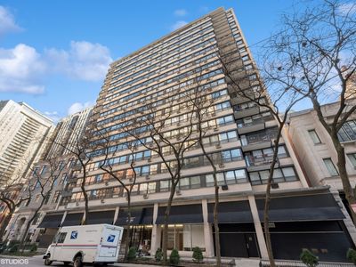 33 E Cedar St APT 5C, Chicago, IL, 60611