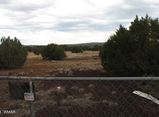 8677 Knowe Pl, Show Low, AZ 85901