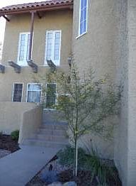 1st image of 843 Newport Ave APT 1