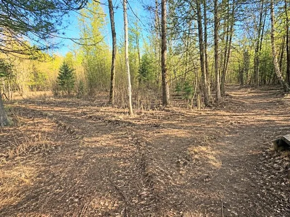 12.5 Road, Wallace, MI 49893