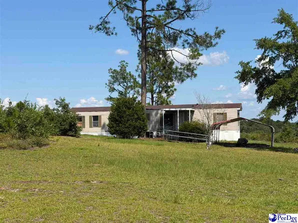 518 Singletree Ln, Cheraw, SC 29520