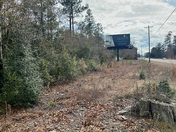2nd image of 101 Driggers Ln