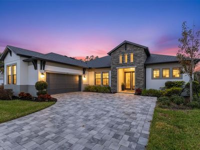 4058 Tour Trce, Land O Lakes, FL, 34638