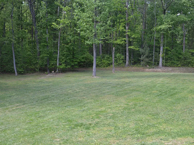 back and side yard