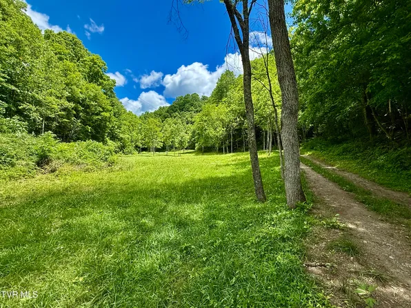 3000 Caney Creek Ln, Greeneville, TN 37745