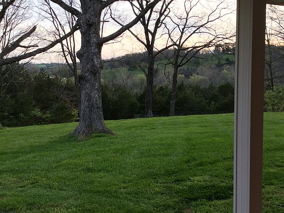 View from the front porch. 
