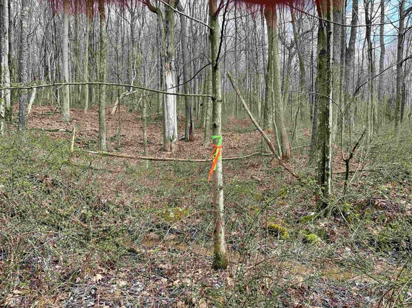 23 Hobbits Glen Rd, Masontown, WV 26542