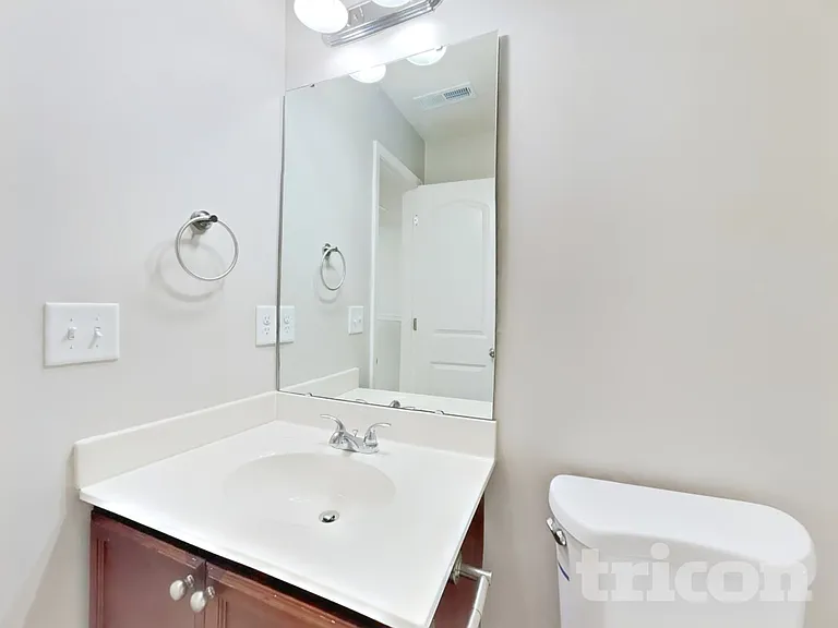 325 Emilies Crossing Way — Photo 11