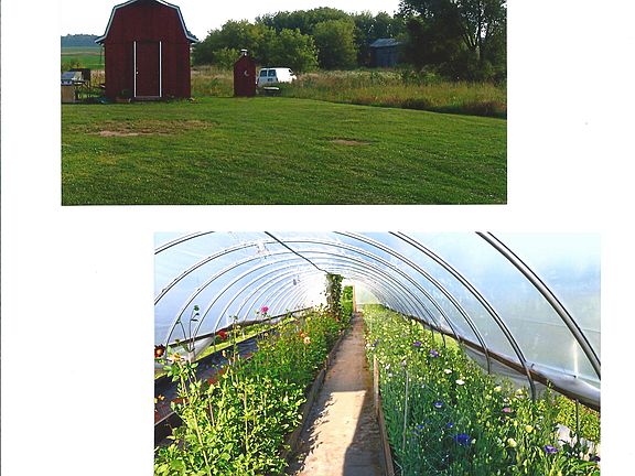 Walk-In Cooler/Hoophouse
