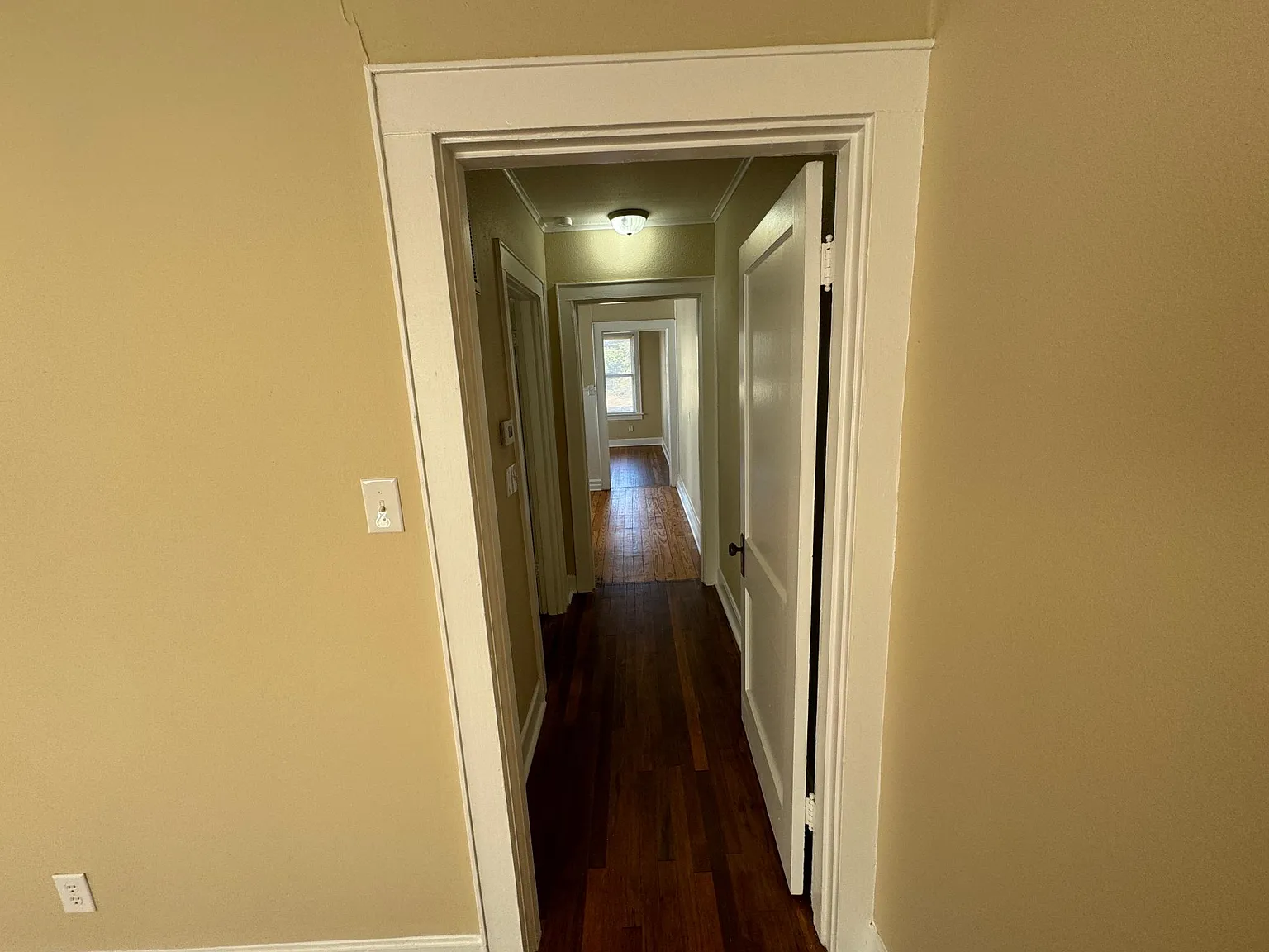 1 bed, 650 sqft, $800 — Photo 3
