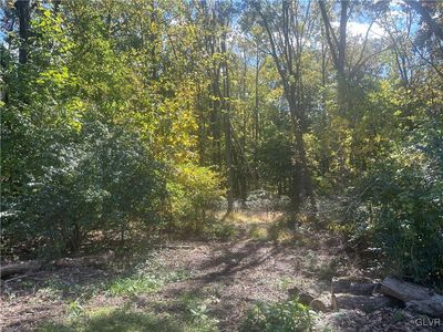 Sycamore Dr, Northampton, PA, 18067
